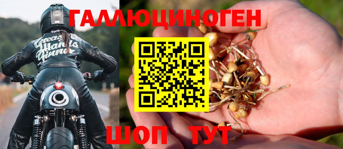 Галлюциногенные грибы GOLDEN TEACHER  Вход с VPN  Ликино-Дулёво 